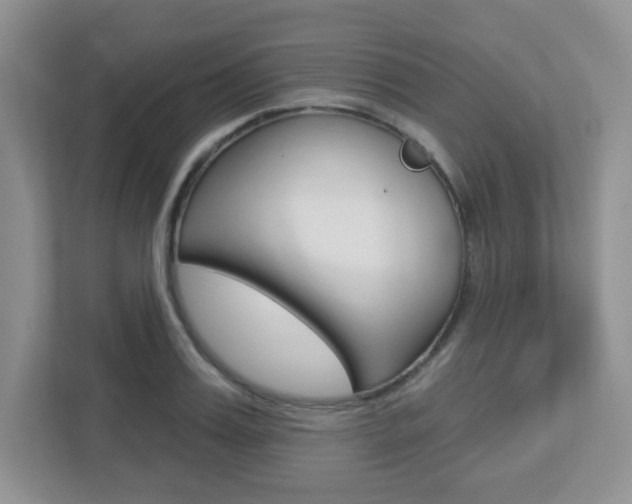 X0000112760987200908201030