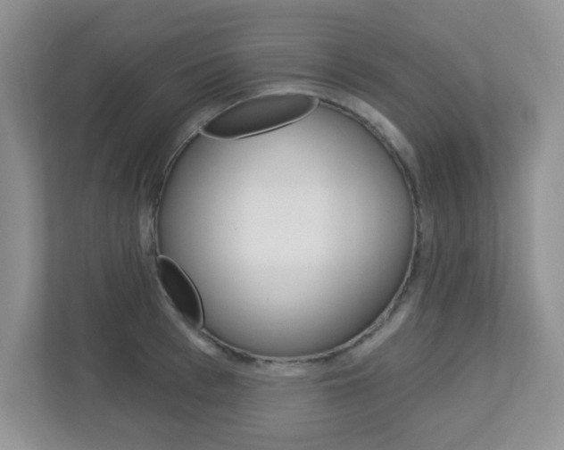 X0000112760993200908201030
