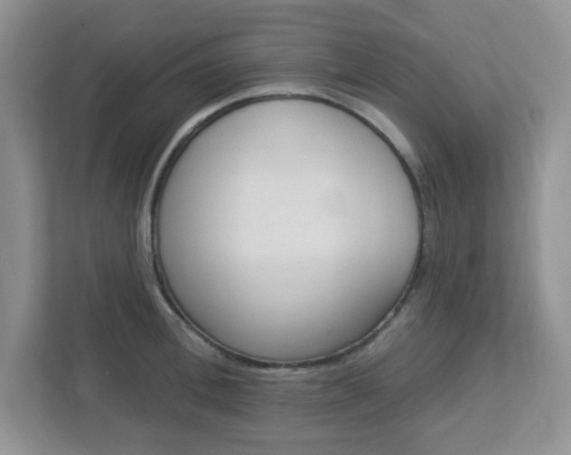 X0000112760996200908201030