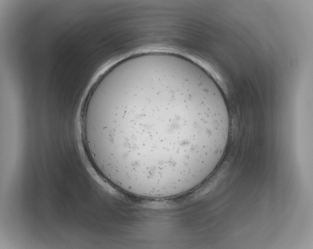 X0000112760998200908201030