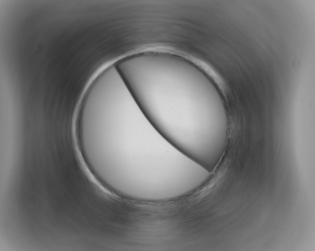 X0000112760999200908201030