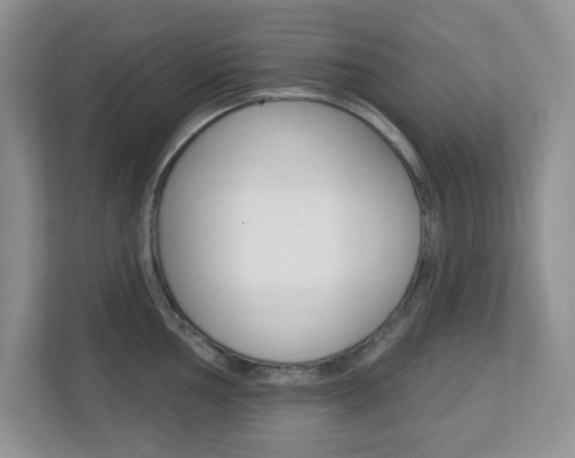 X0000112761002200908201030