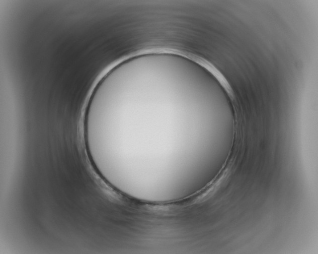 X0000112761004200908201030