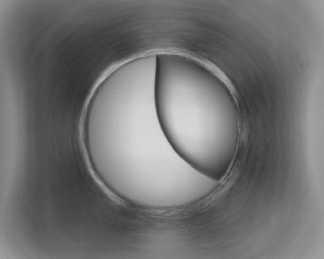 X0000112761005200908201030