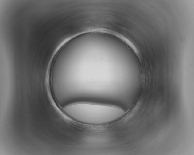 X0000112761007200908201030