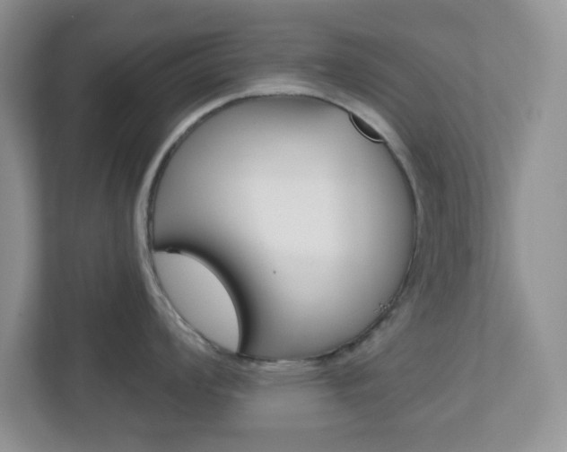 X0000112761008200908201030