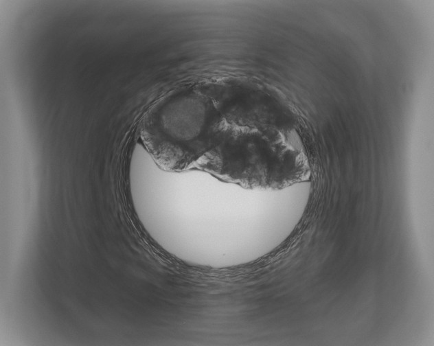 X0000112761009200908201029