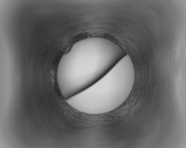 X0000112761010200908201029