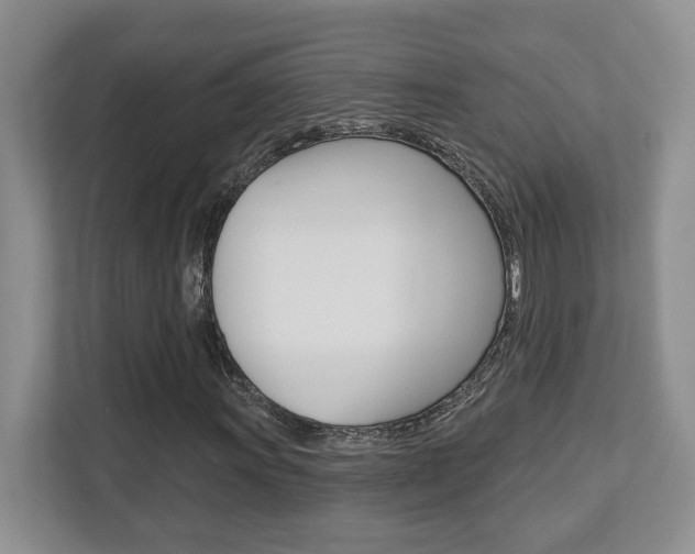 X0000112761011200908201029