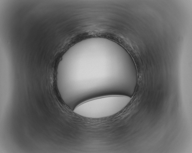 X0000112761012200908201029
