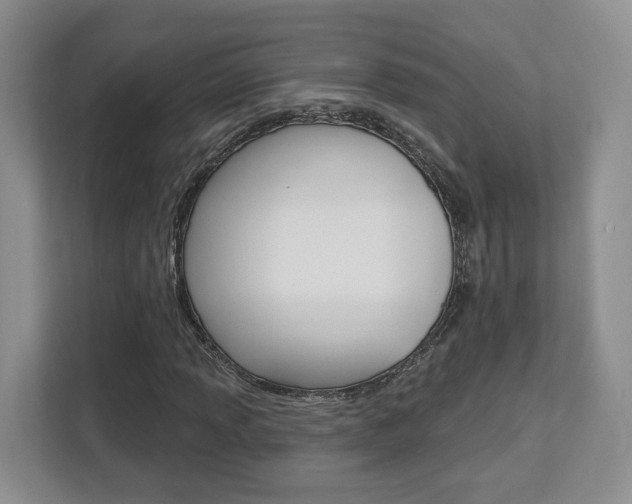 X0000112761013200908201029