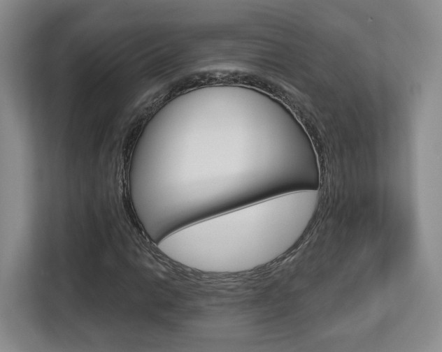 X0000112761014200908201029