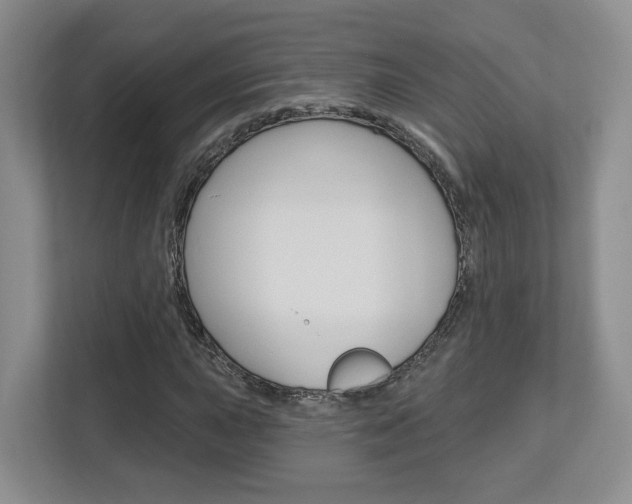 X0000112761015200908201029