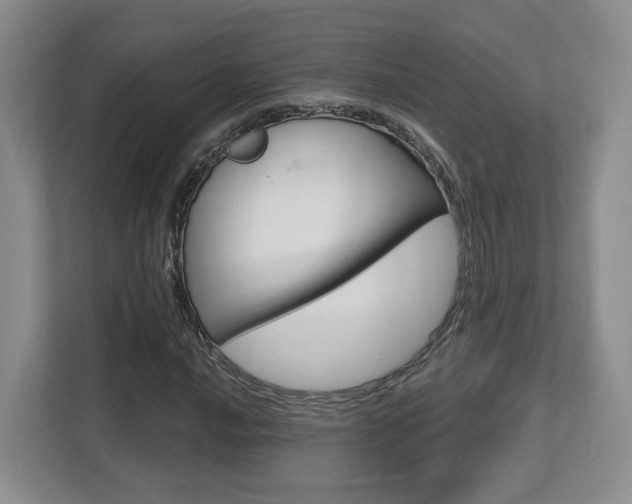 X0000112761016200908201029