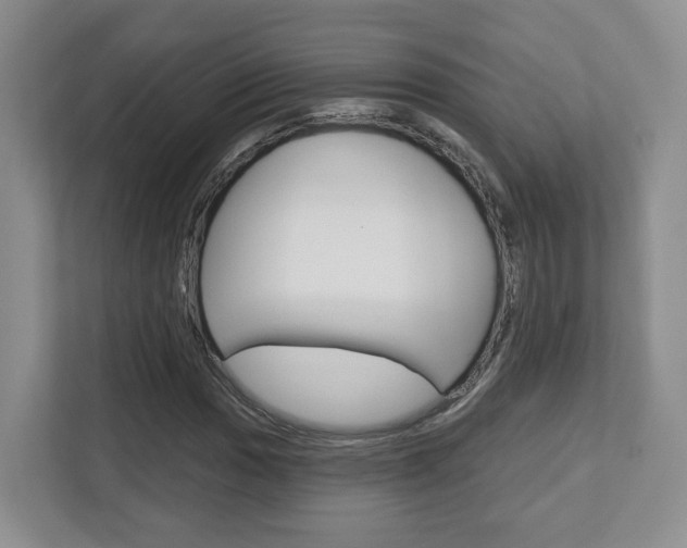 X0000112761017200908201029