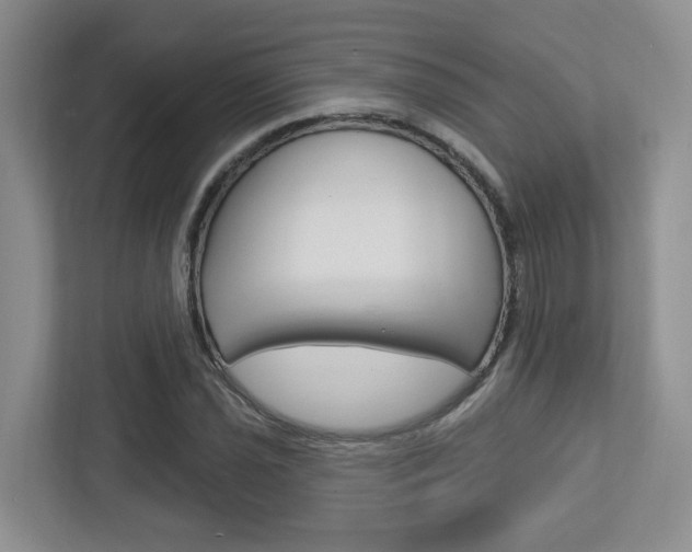 X0000112761021200908201029
