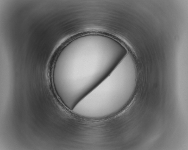 X0000112761022200908201029