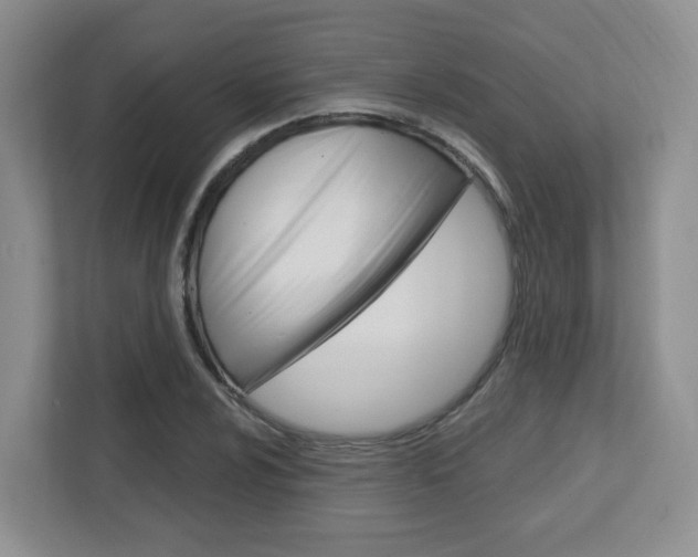 X0000112761024200908201029