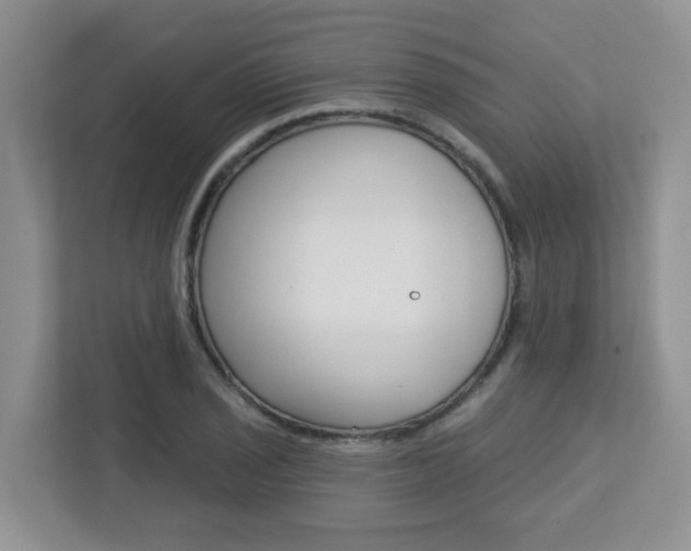 X0000112761029200908201029