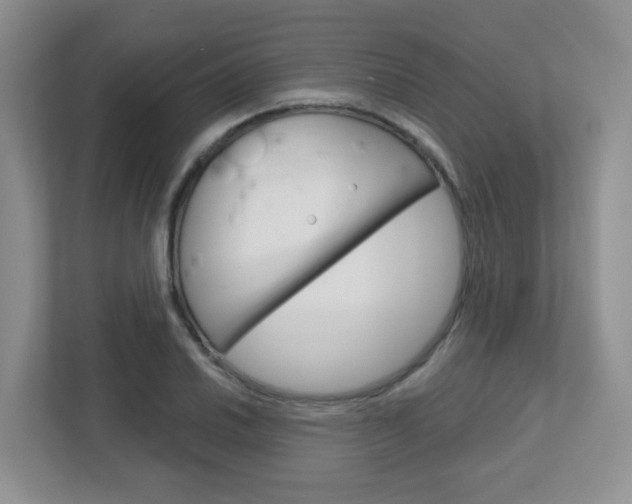 X0000112761030200908201029