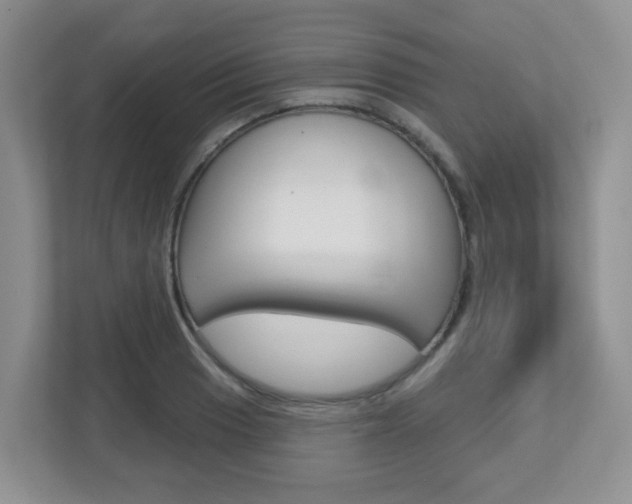 X0000112761033200908201029