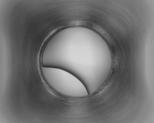 X0000112761039200908201029