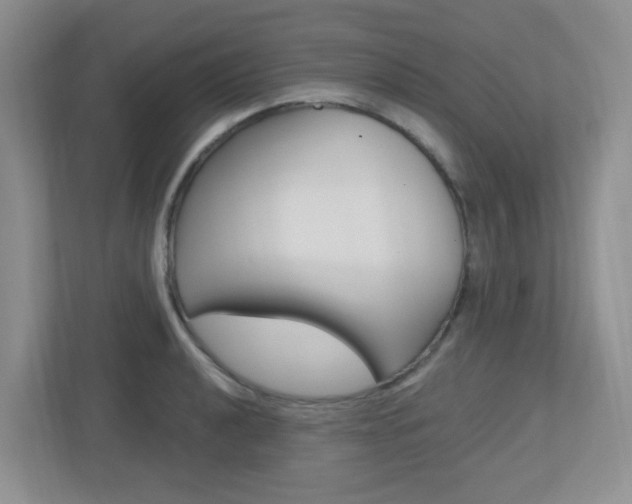 X0000112761040200908201029