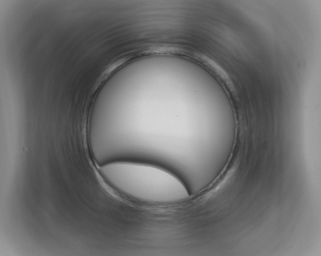 X0000112761041200908201029