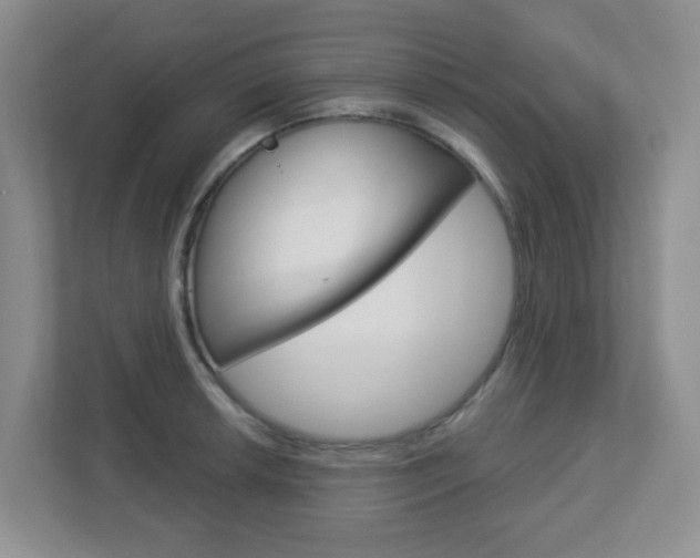 X0000112761042200908201029
