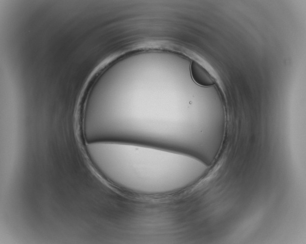 X0000112761045200908201029