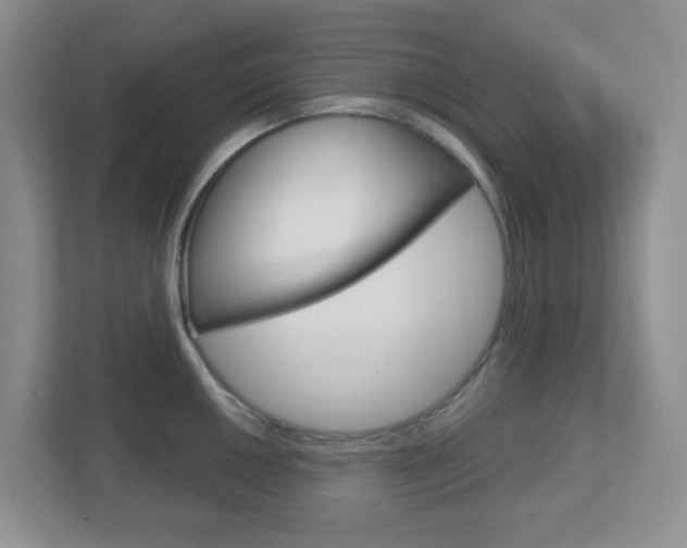 X0000112761050200908201029