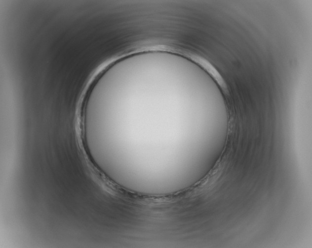 X0000112761051200908201029
