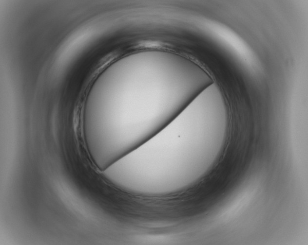 X0000112761052200908201029