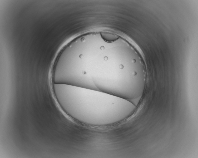 X0000112761053200908201029