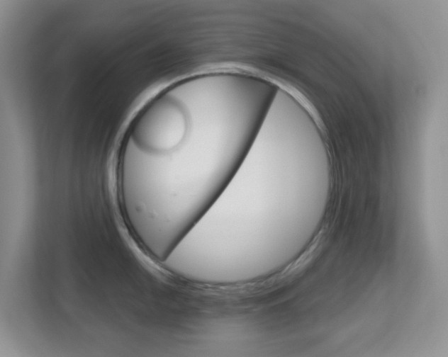 X0000112761054200908201029