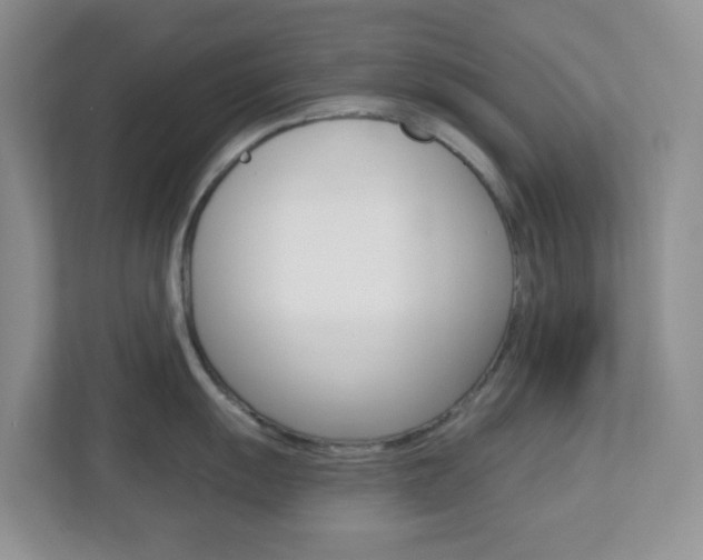 X0000112761055200908201029
