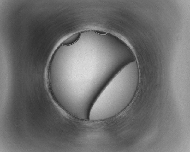 X0000112761056200908201029