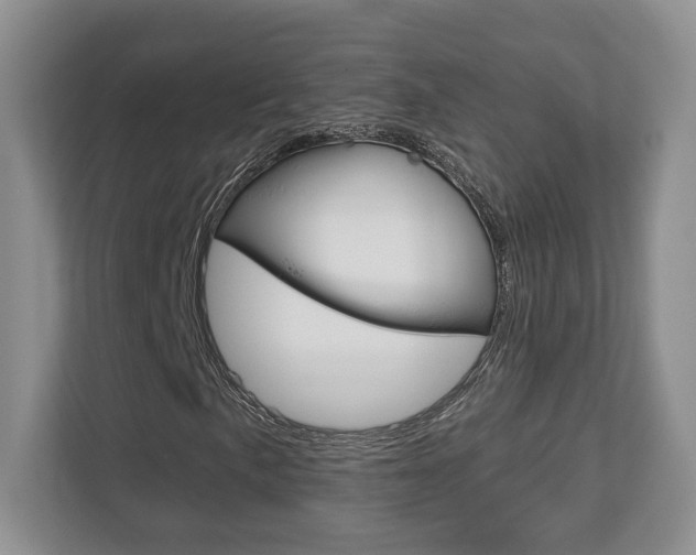 X0000112761057200908201029