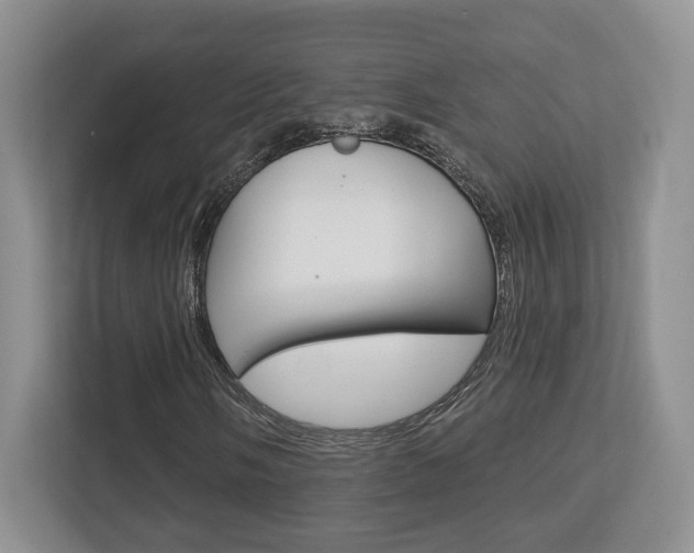 X0000112761058200908201029