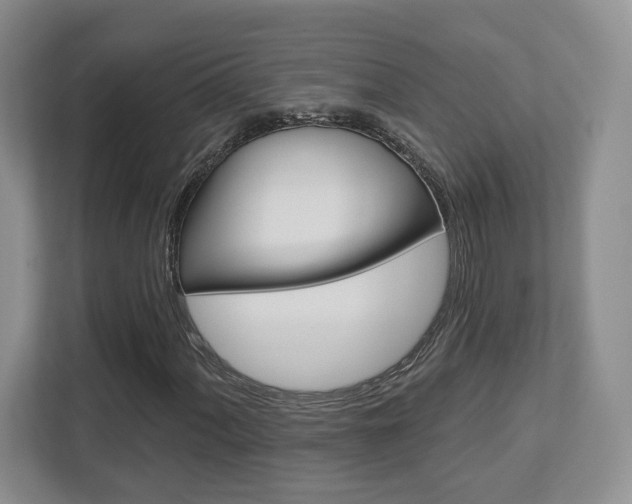 X0000112761060200908201029