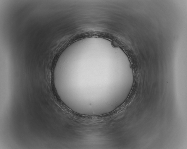 X0000112761061200908201029