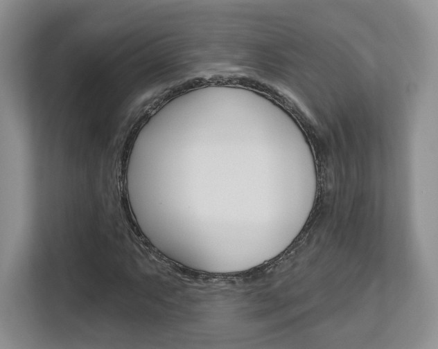 X0000112761063200908201029