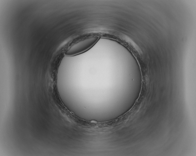 X0000112761064200908201029