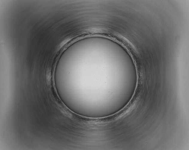 X0000112761065200908201029