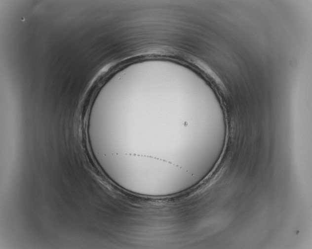 X0000112761067200908201029