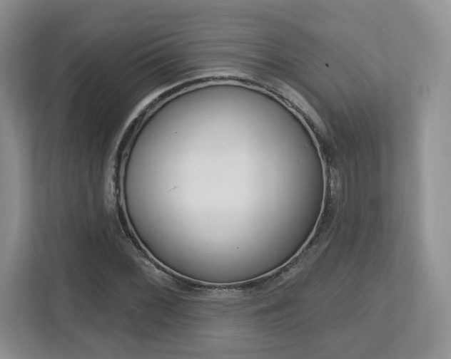 X0000112761068200908201029