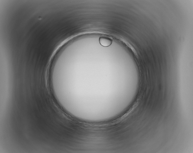 X0000112761069200908201029
