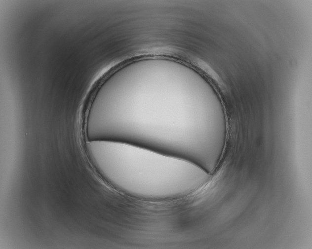 X0000112761071200908201029