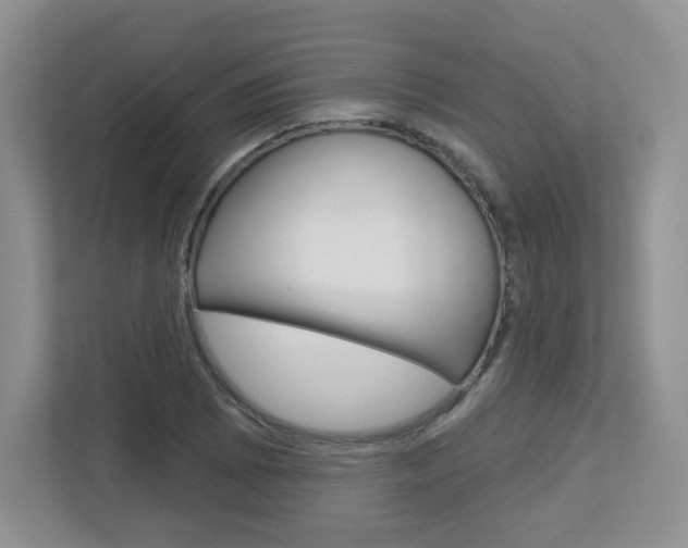 X0000112761073200908201029