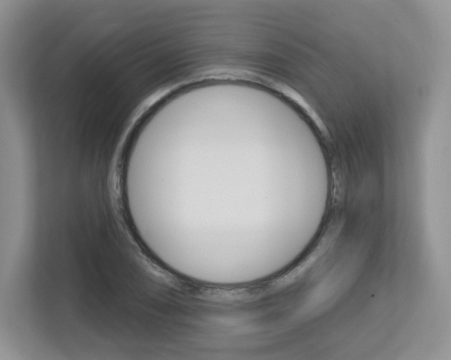 X0000112761074200908201029